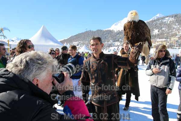 IMG 1883 prot